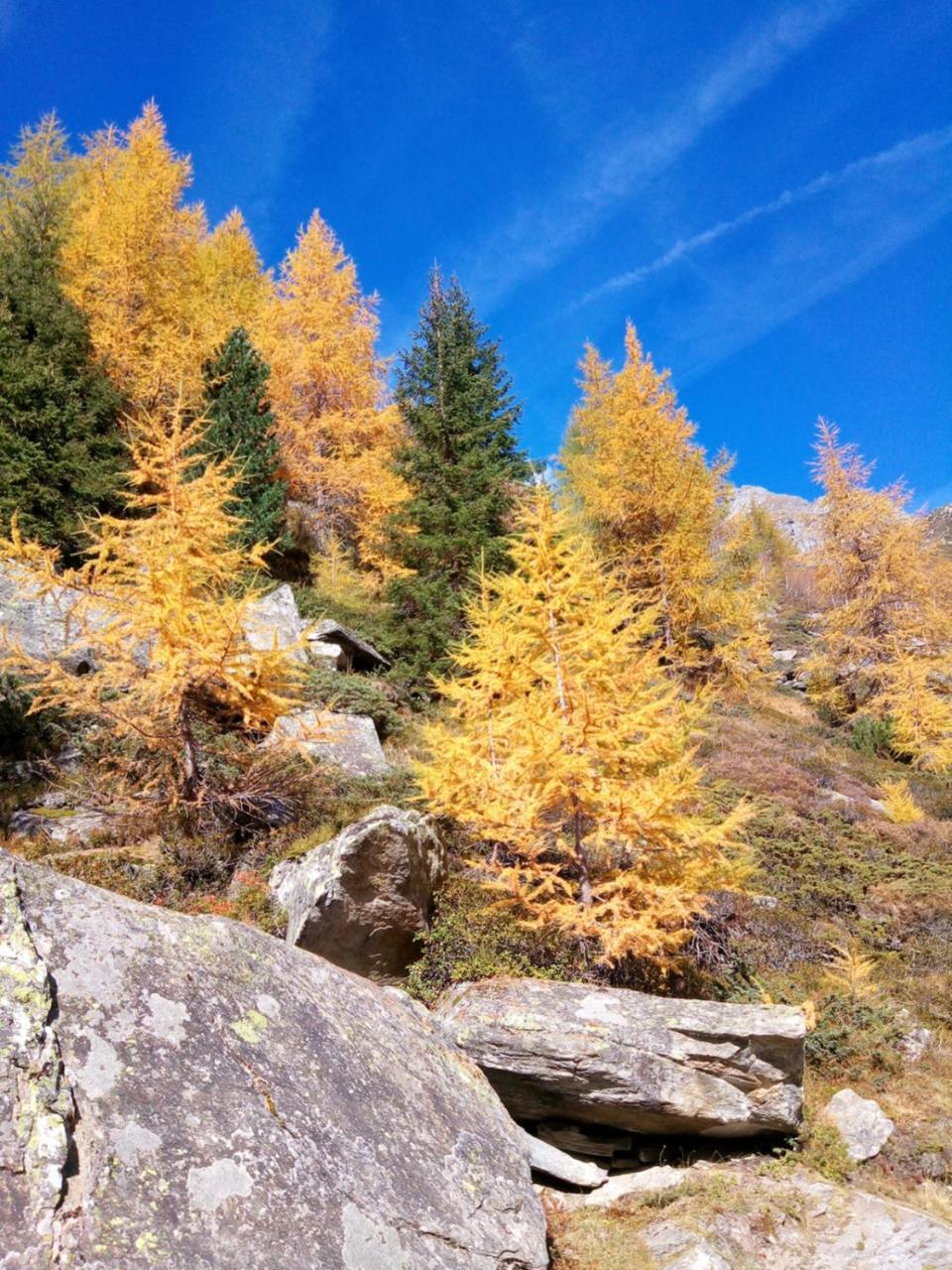 Pension & Appartament Anna Predoi Exterior foto